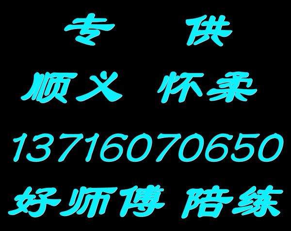 顺义怀柔好师傅汽车陪练公司