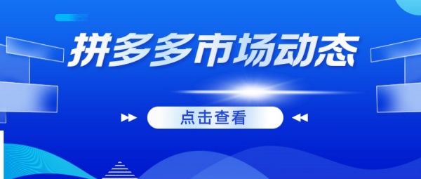 拼多多店群项目线下教学陪跑，新手开店一对一手把手教学合作