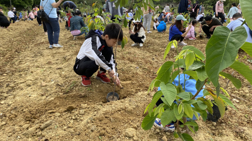 在惠州适合春游的地方推荐果盛生态园