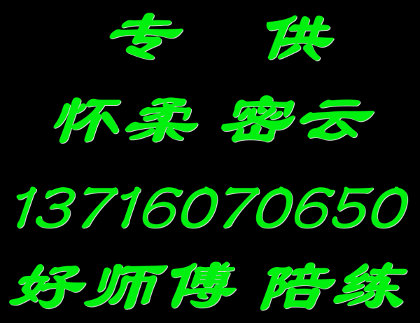 密云怀柔陪练公司