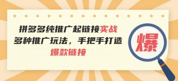 拼多多店群提升流量和权重，店铺直通车网店全教程技巧