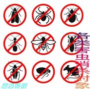 上海卢湾区商务楼除蟑螂灭白蚁 饭店除蟑螂服务