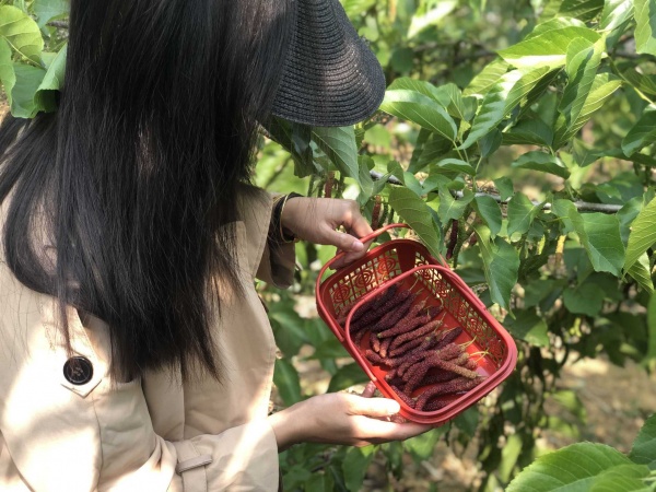 原来惠州有这么个好玩的地方，非常适合春游哦