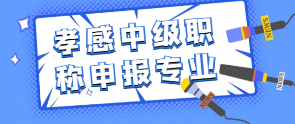 2023孝感中级职称申报专业有哪些？