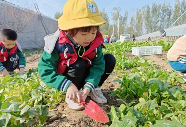 弗洛格幼儿园春季招生进行中 新生宝贝们看过来