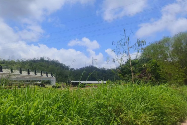 深圳周边可以团建拓展休闲游玩好去处