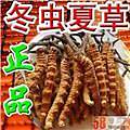 遵义市按克计价回收原青草-藏草-川草-现礼品冬虫夏草