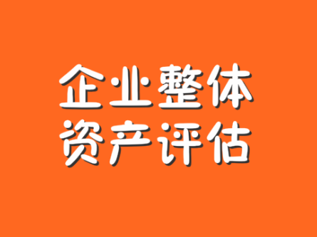 广州企业整体资产评估,企业股权价值评估,企业净资产评估,专业资产评估机构