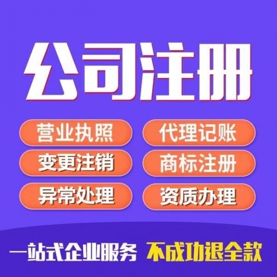 江苏彩葵财税 工商注册变更+代账记账，税务筹划