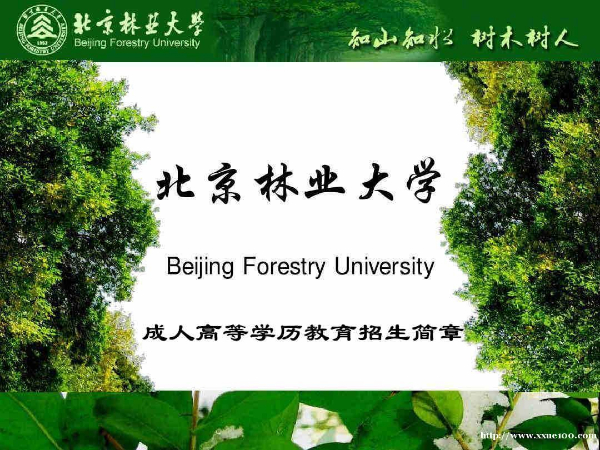 北京林业大学成人高考专科本科招生简章