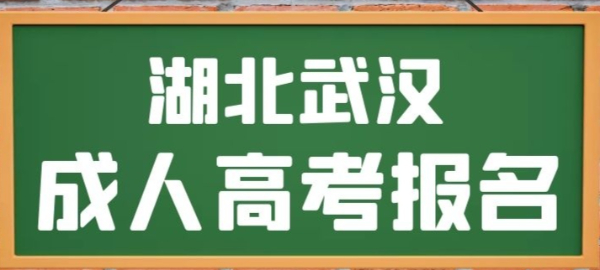 2023年成人高考疑难问题解答，启程杨