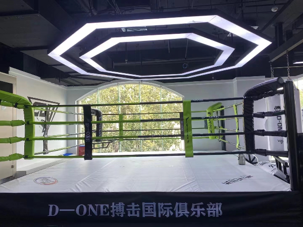 北京东城那里可以学武术？北京东城D-ONE搏击可以学武术