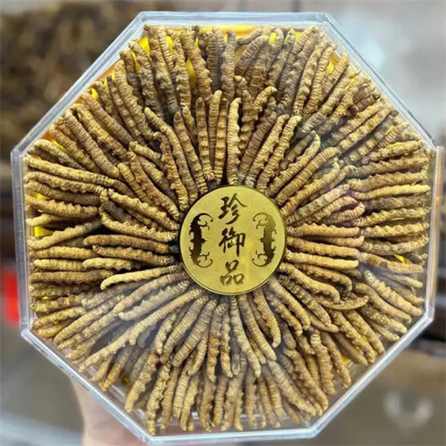 戚墅堰区回收冬虫夏草-看颜色-外形-环纹-大小评估品质