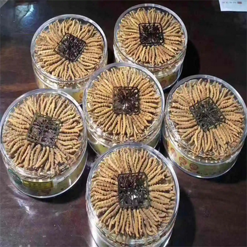 象山丹东回收冬虫夏草-按藏草-川草-青草-礼品草以质论价