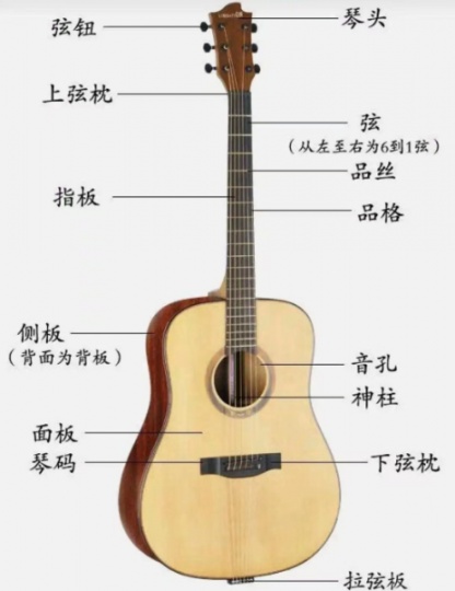 济宁乐器专卖出售吉他选品牌正品吉他到丝竹艺术