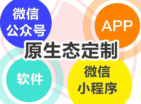 深圳APP及微小程序公众号 移动端  H5网站 企业ERP管理软件 OA软件开发
