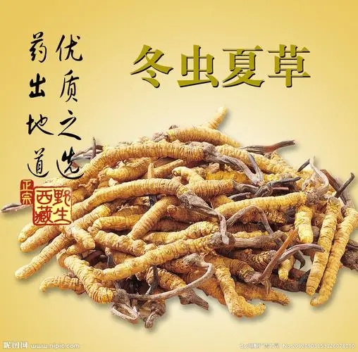 广州市回收冬虫夏草-按下级-中级-上级-王级定等论克价