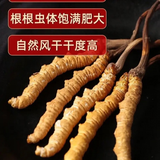 荆州市回收冬虫夏草-按下级-中级-上级-王级定等论克价