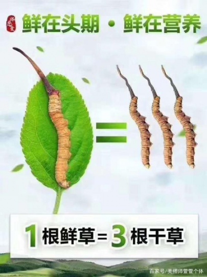 荆州市回收冬虫夏草-按规格2条3根4头5只1克定等计价