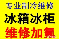 淄博市市各地区冰箱不制冷维修 冰箱充氟电话  专业维修冰箱、冰柜、展示柜、冷藏