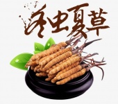 南京市回收冬虫夏草-产地正品-五个等级-四个规格-克价简介