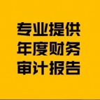 代理记账验资报告审计报告年检